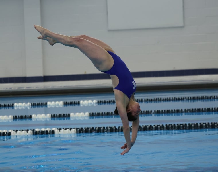 Action shot of Abigail Wilkov diving during a swim meet